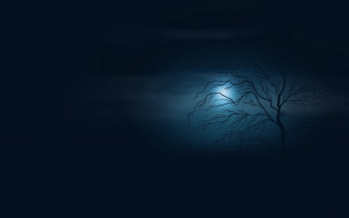 Tree light bird dark night - the dark night free wallpaper