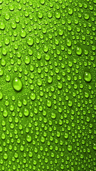 Green background water drops photo - computer art free wallpaper