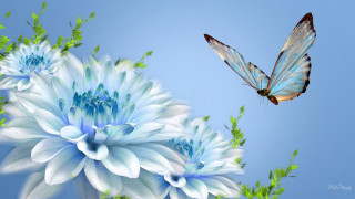 Butterfly flying blue flower green - a blue sky background free wallpaper