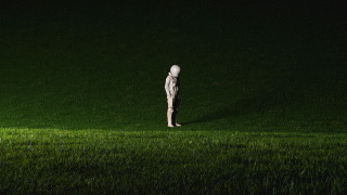 Person grass light head forest - surreal photography free wallpaper