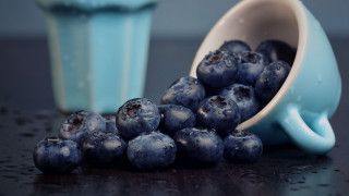 Blue cup blueberries water ice - photorealism free wallpaper