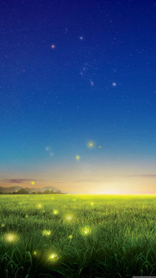 Field grass fireflies night stars - firefly free wallpaper