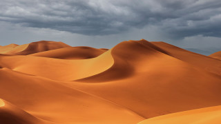 Sand dunes cloudy sky trees 2 - cloudy free wallpaper
