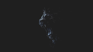 Black cat open mouth ocean - a white cat free wallpaper