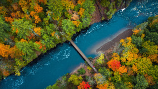 River bridge autumn leaves forest - alson s. clark free wallpaper