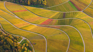 Large field trees road aerial - a large field free wallpaper
