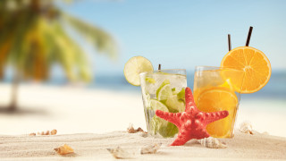 Starfish beach palm drink summer - aquirax uno free wallpaper for desktop