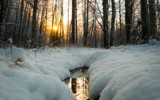 Small stream snowy forest dawn - forest free wallpaper