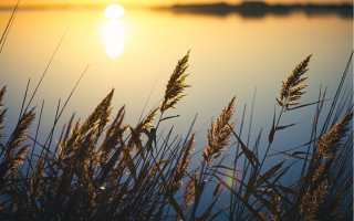 Sunset lake tallgrass tranquil berndfasching - a sunset over a lake free wallpaper