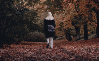 Woman leaf covered woods autumn - a leaf free wallpaper