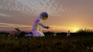 Kneeling person flower bunny field - beeple free wallpaper