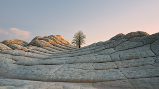 Rock formation tree clouds sunset - hdri free wallpaper
