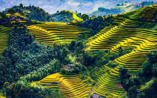 Yellow terraces valley mountains forest - dai xi free wallpaper