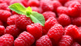 Raspberries leaf closeup berry blood - berry free wallpaper