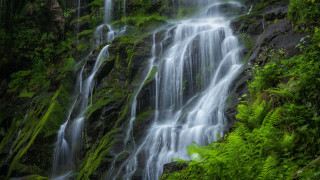 Waterfall green forest nature light - the side of the waterfall free wallpaper
