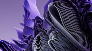 Purple flower gradient ambient occlusion - a purple flower free wallpaper