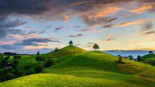 Green hill tree sunset clouds - sunset free wallpaper