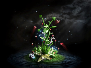 Small island plant water stars - a small island free wallpaper