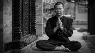 Man lotus courtyard blackwhite phuocquan - fang congyi free wallpaper