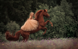 Girl dress horse flower forest - elinor proby adams free wallpaper for desktop