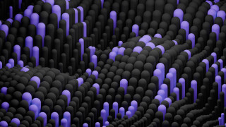 Blue lights people black room - a large group of people free wallpaper
