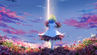 Girl white dress flower field 2 - a field of flowers free wallpaper