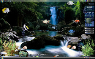 Computer waterfall fish screenshot image - a window open free wallpaper