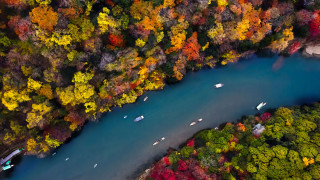 River trees boats autumn leaves - color free wallpaper