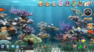 Computer screen fish corals aquarium - different free wallpaper