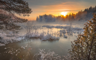 River trees snow sunset fog - a sunset in the background free wallpaper
