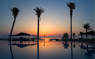 Sunset pool palm trees person - palm tree and a sunset in the background free wallpaper