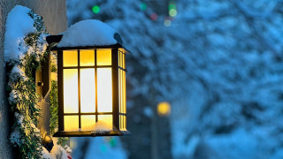 Snowy lantern evergreens bokeh shrine - a lantern free wallpaper