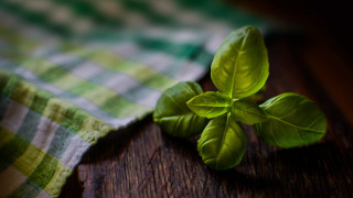 Green leafy plant wooden table - cloth free wallpaper