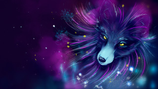 Wolf yelloweyes purplehair nightstars bubbles - the dark night sky free wallpaper