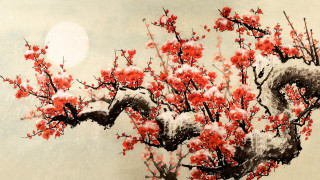 Tree red flowers snow moon - red flower free wallpaper