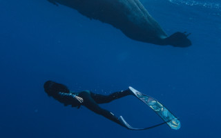 Woman wetsuit swimming whale holography - charlotte nasmyth free wallpaper