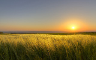 Sunset field hill clouds grass - cloud above free wallpaper