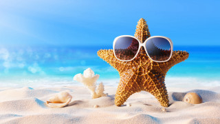 Starfish sunglasses beach shells sand - a starfish free wallpaper