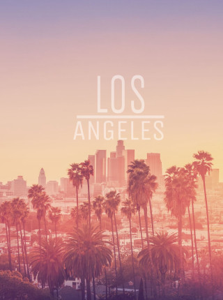 Los angeles sunset palm trees - evelyn abelson free wallpaper