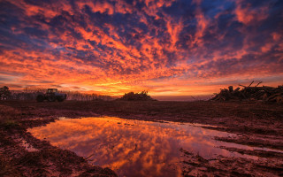 Sunset tractor puddle autumn leaves - a sunset free wallpaper for desktop