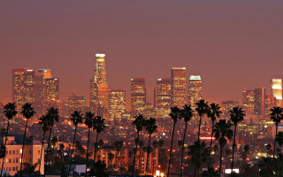 City skyline palm trees nighttime - a few building free wallpaper