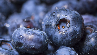 Blueberries water drops macro photography - drop of water free wallpaper