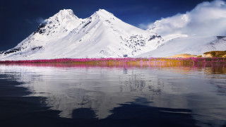 Mountain lake clouds pinkflowers landscape - a few pink flower free wallpaper