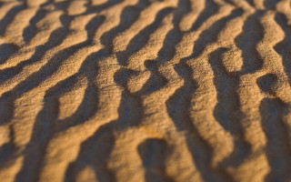 Sand dune closeup macro desert - naturalism free wallpaper