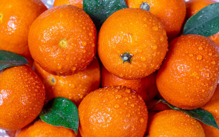 Orange pile water droplets halloween - a pile of oranges free wallpaper