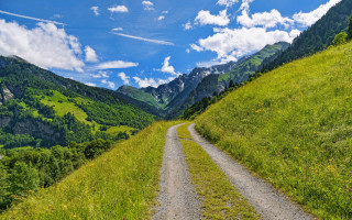 Dirt road green valley mountains - a lush green valley free wallpaper