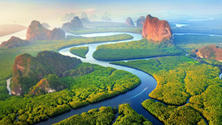 Lush green forest river mountains 3 - naturalism free wallpaper