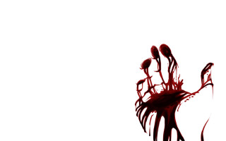 Flowers blood air white background - a group of flowers free wallpaper