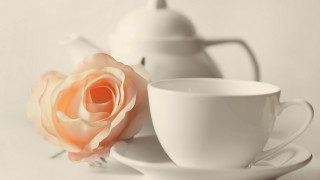 White tea pot white cup - soft color free wallpaper