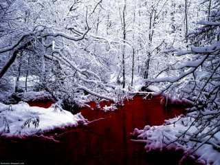 Red forest snow autumn leaves - blood free wallpaper